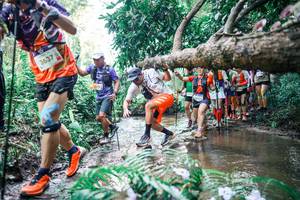 BIB: 
                            <button type="button" onclick="openModal(25467833)" class="btn btn-primary btn-sm float-right btn-popup" data-toggle="modal" data-target=".modal-high-quality">
                        <i class="fas fa-shopping-cart"></i> Add to Cart
                    </button>
                                            <button type="button" onclick="isThisMe(25467833, true)" class="btn btn-success btn-sm float-right btn-popup btn-isme hidden" data-toggle="tooltip" data-placement="bottom" title="นี่คือรูปของคุณใช่ไหม คลิกที่นี่เพื่อเอาเข้าอัลบั้ม">
                        <i class="fas fa-plus"></i> Add to album
                    </button>
                    <button type="button" onclick="isThisMe(25467833, false)" class="btn btn-warning btn-sm float-right btn-popup btn-isnotme hidden">
                        <i class="fas fa-ban"></i> Remove from album
                    </button>